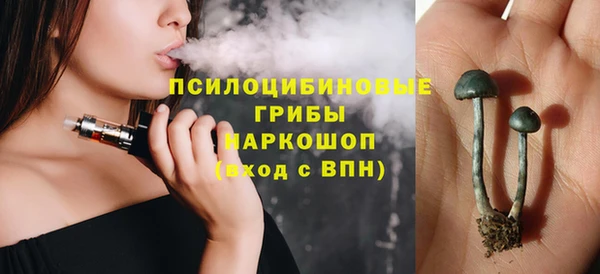 твердый Балахна