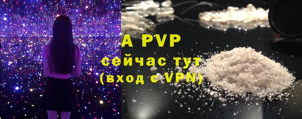 ECSTASY Баксан