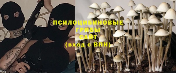твердый Балахна