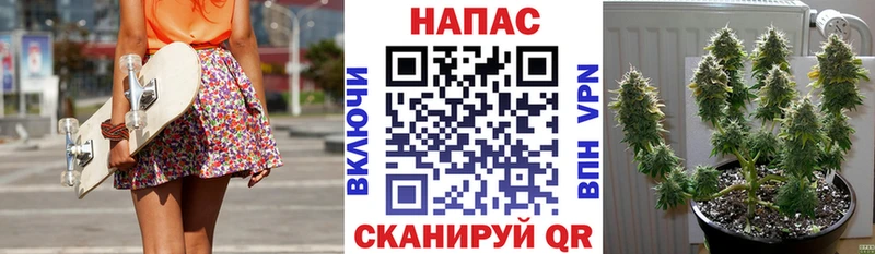Бошки Шишки марихуана  Козьмодемьянск 